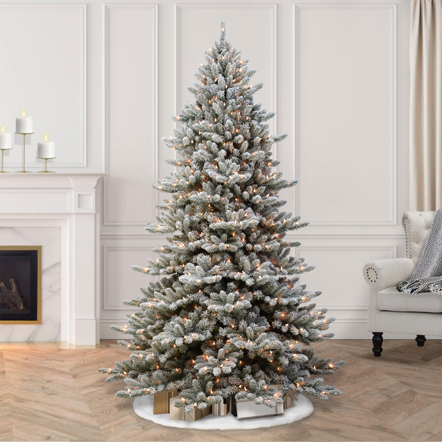 Royal Majestic Fraser Fir