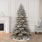 Royal Majestic Fraser Fir