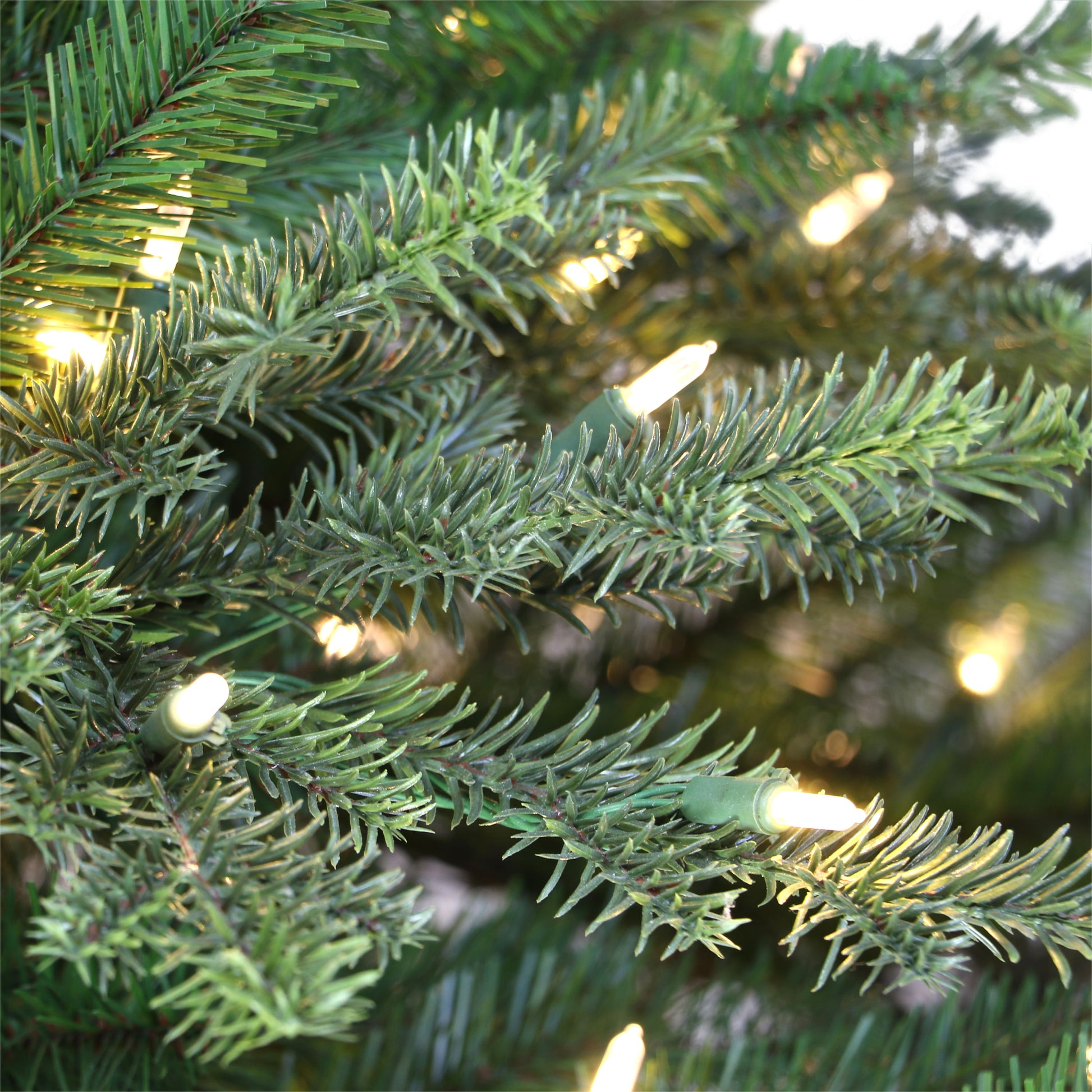 7.5 / Full / Clear Incandescent