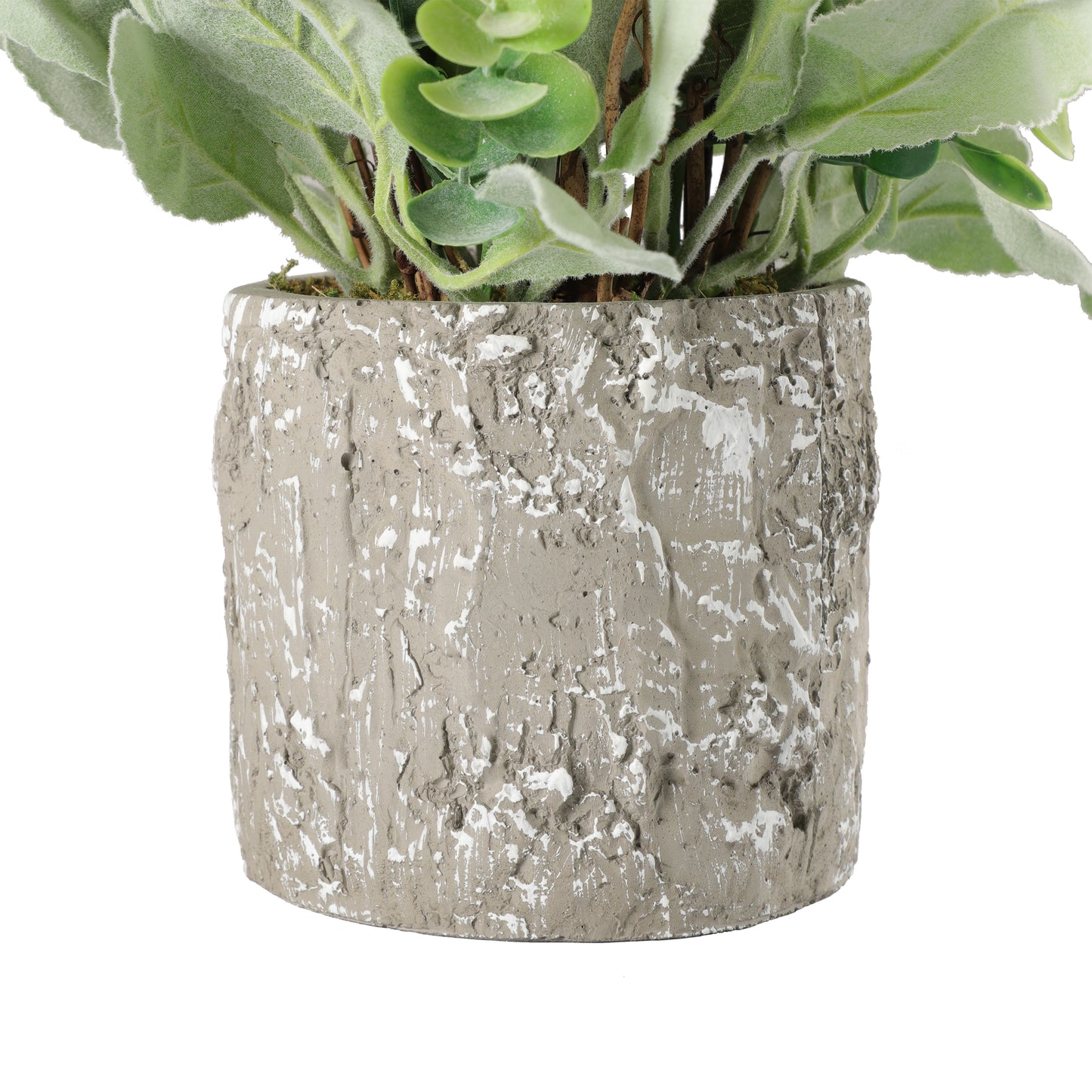 11" Lambs Ear Potted Plant With Twig & Greenery Leaves 