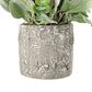 11" Lambs Ear Potted Plant With Twig & Greenery Leaves 