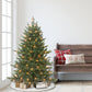 4.5 / Full / Clear Incandescent