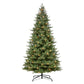 10 / Full / Clear Incandescent