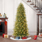7.5 / Slim / Clear Incandescent