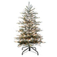 4.5 / Full / Clear Incandescent