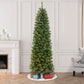 7.5 / Slim / Clear Incandescent