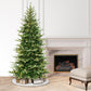 7.5 / Slim / Clear Incandescent