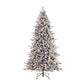 6.5 / Clear Incandescent