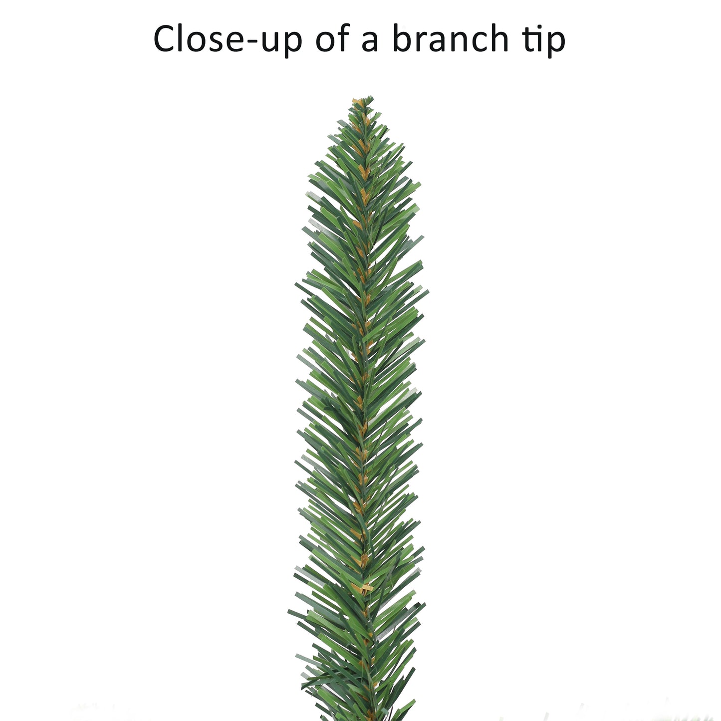 6 / Clear Incandescent
