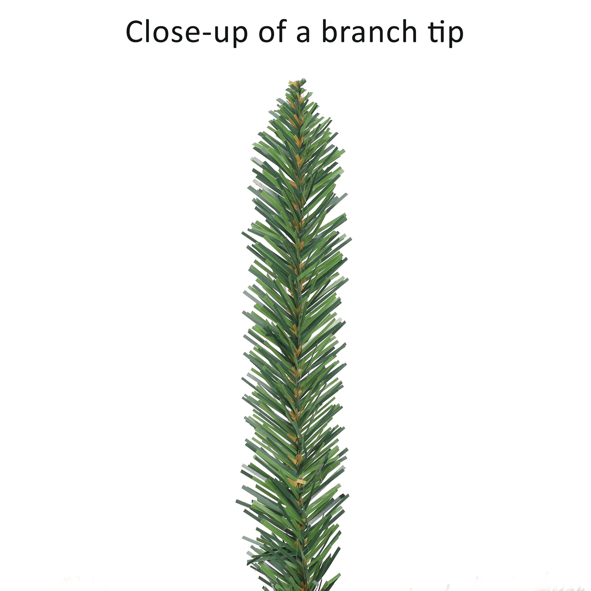 6 / Clear Incandescent