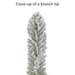 7.5 / Slim / Warm White LED