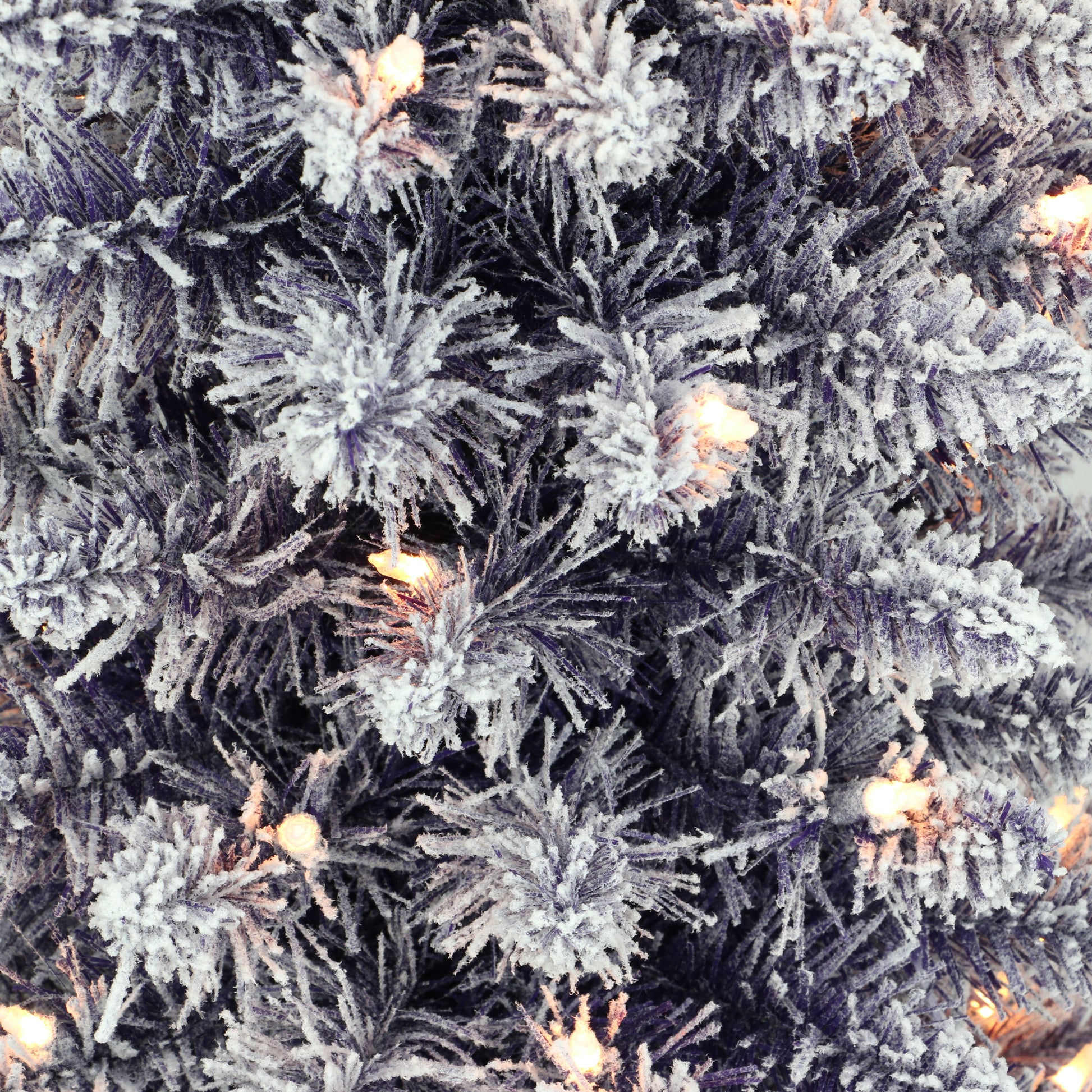 4.5 / Clear Incandescent / Flocked Purple