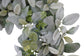 22" Lambs Ear Wreath