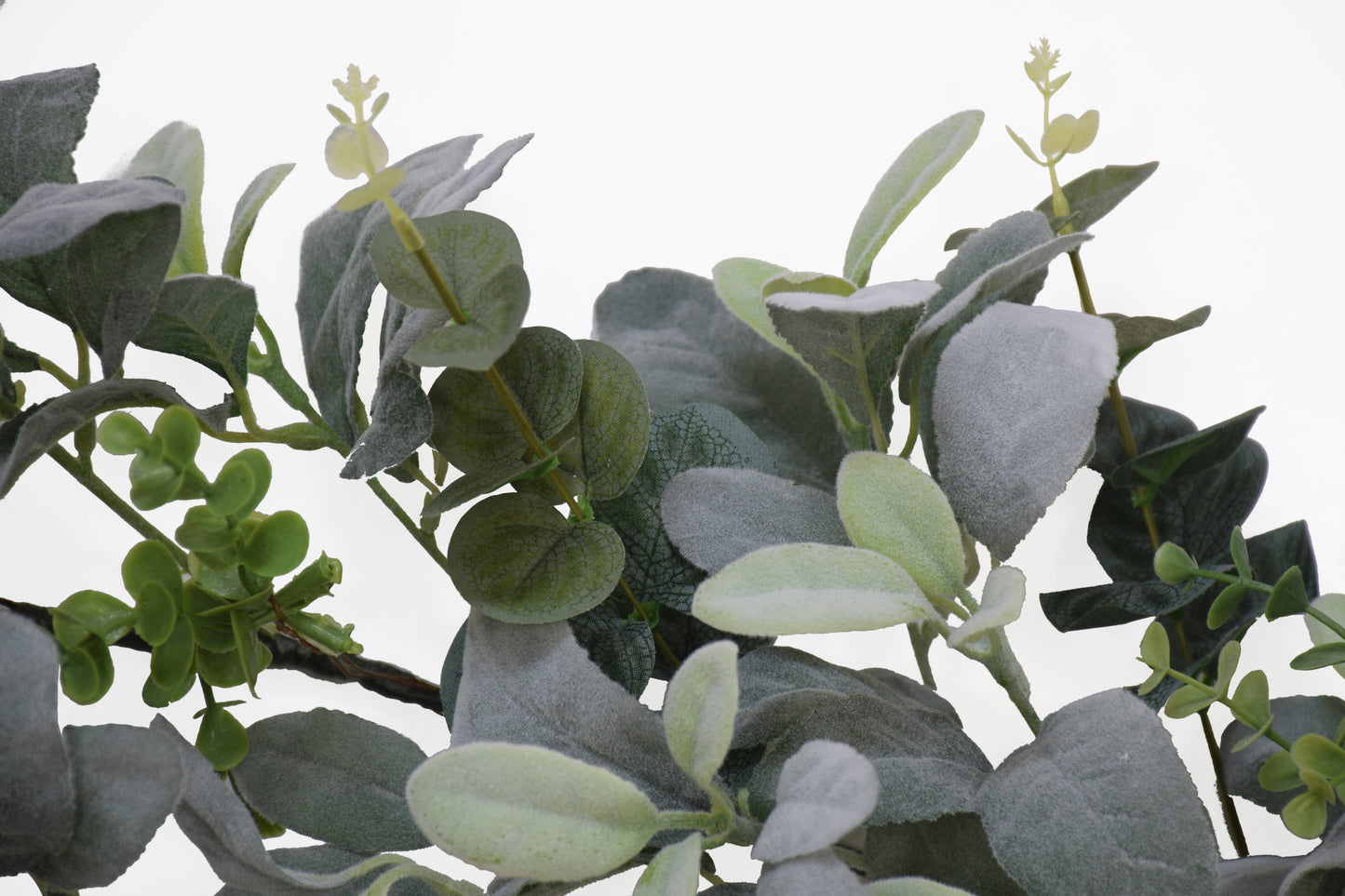 6 ft. x 10" Lambs Ear Garland