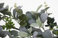 6 ft. x 10" Lambs Ear Garland