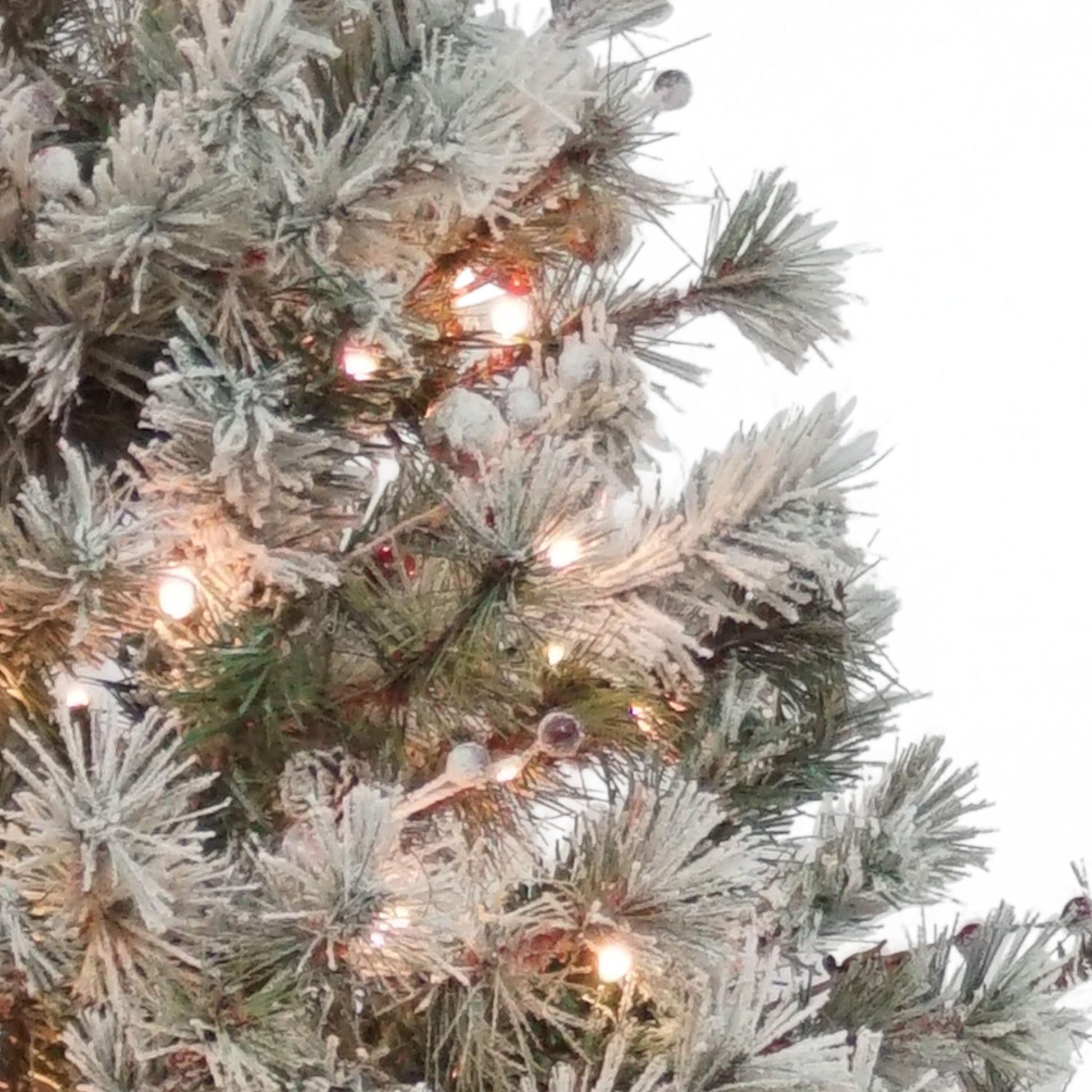 7.5 / Full / Warm White Multi-Function LED