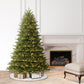 6.5 / Full / Clear Incandescent