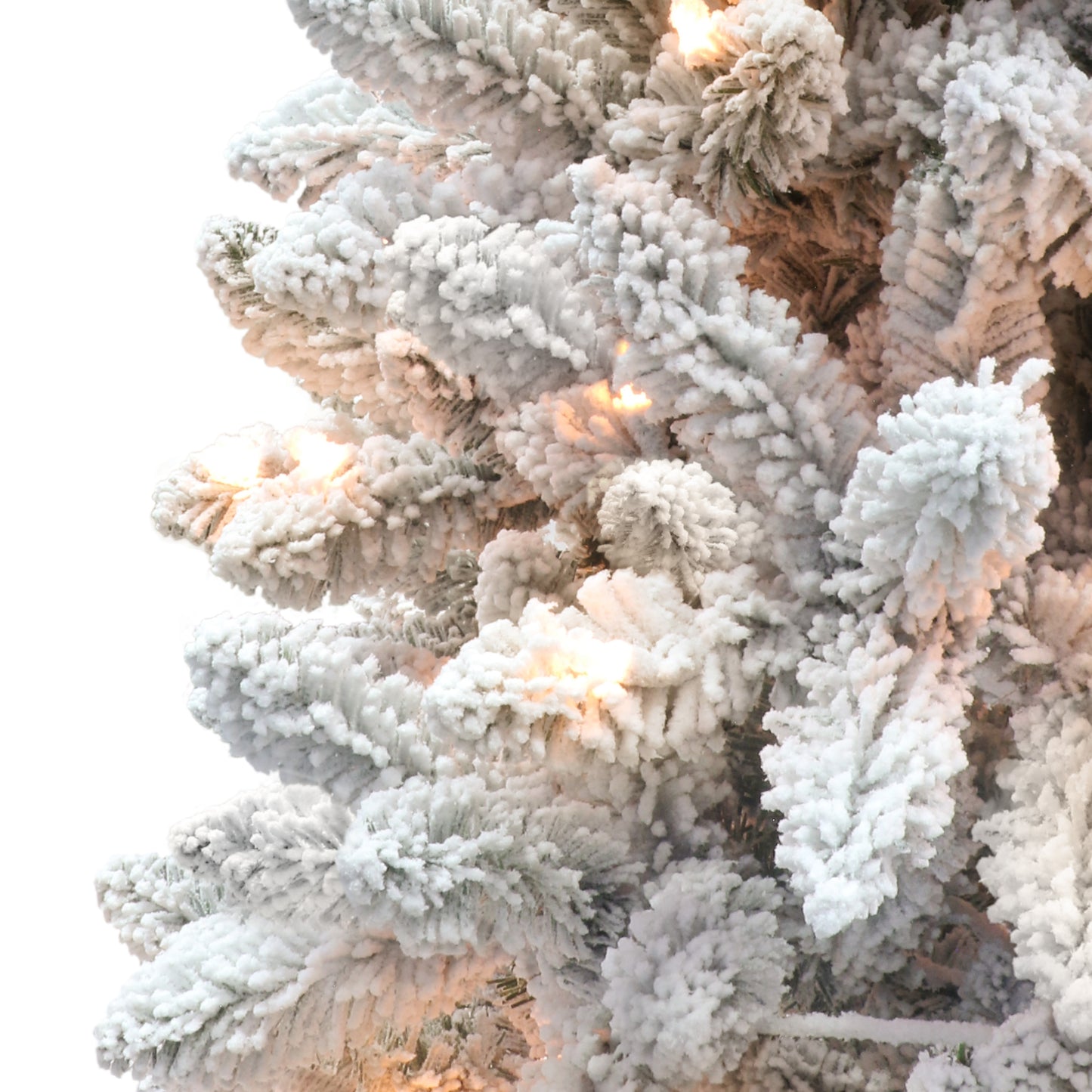 6 / Clear Incandescent