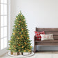 4.5 / Slim / Clear Incandescent