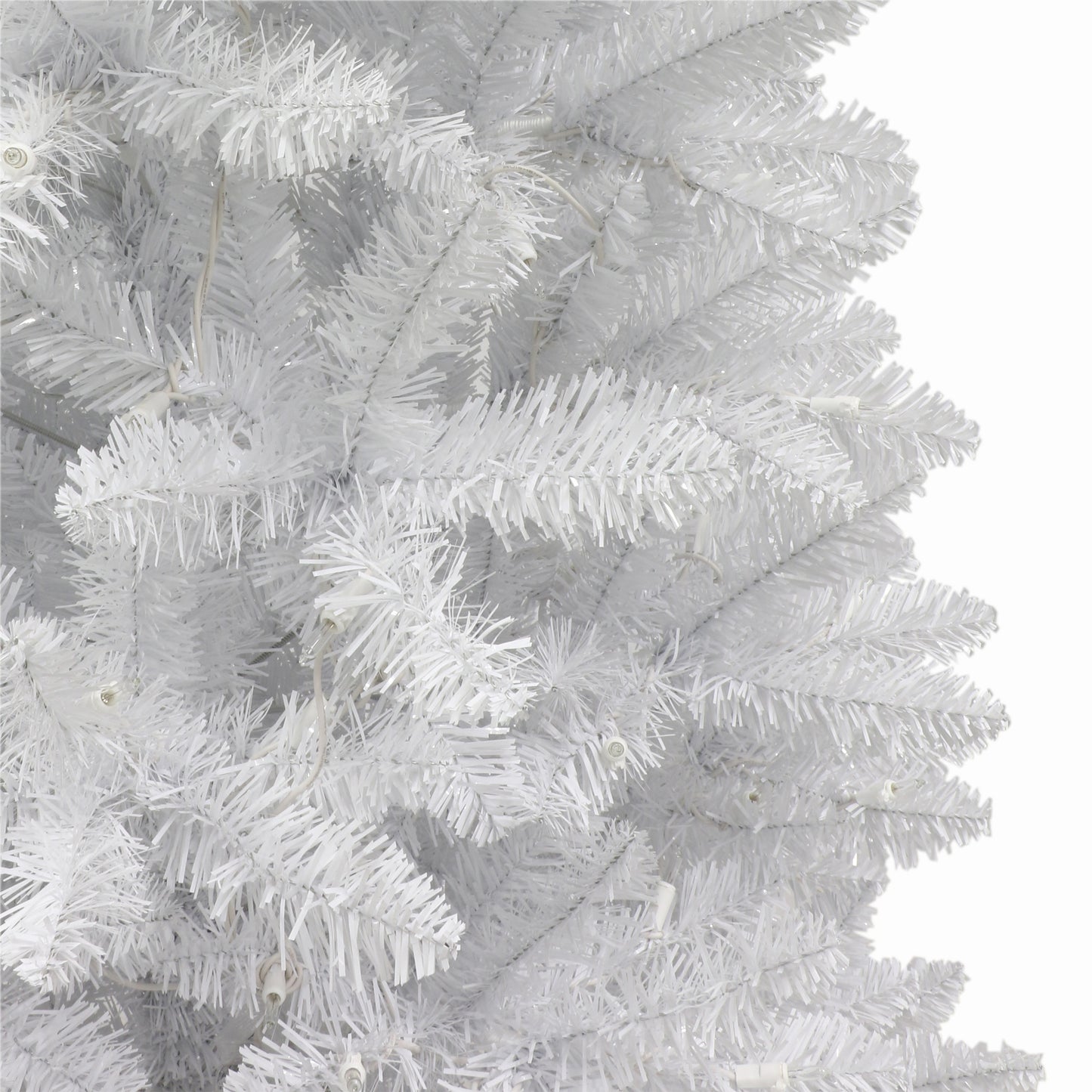7 / Clear Incandescent