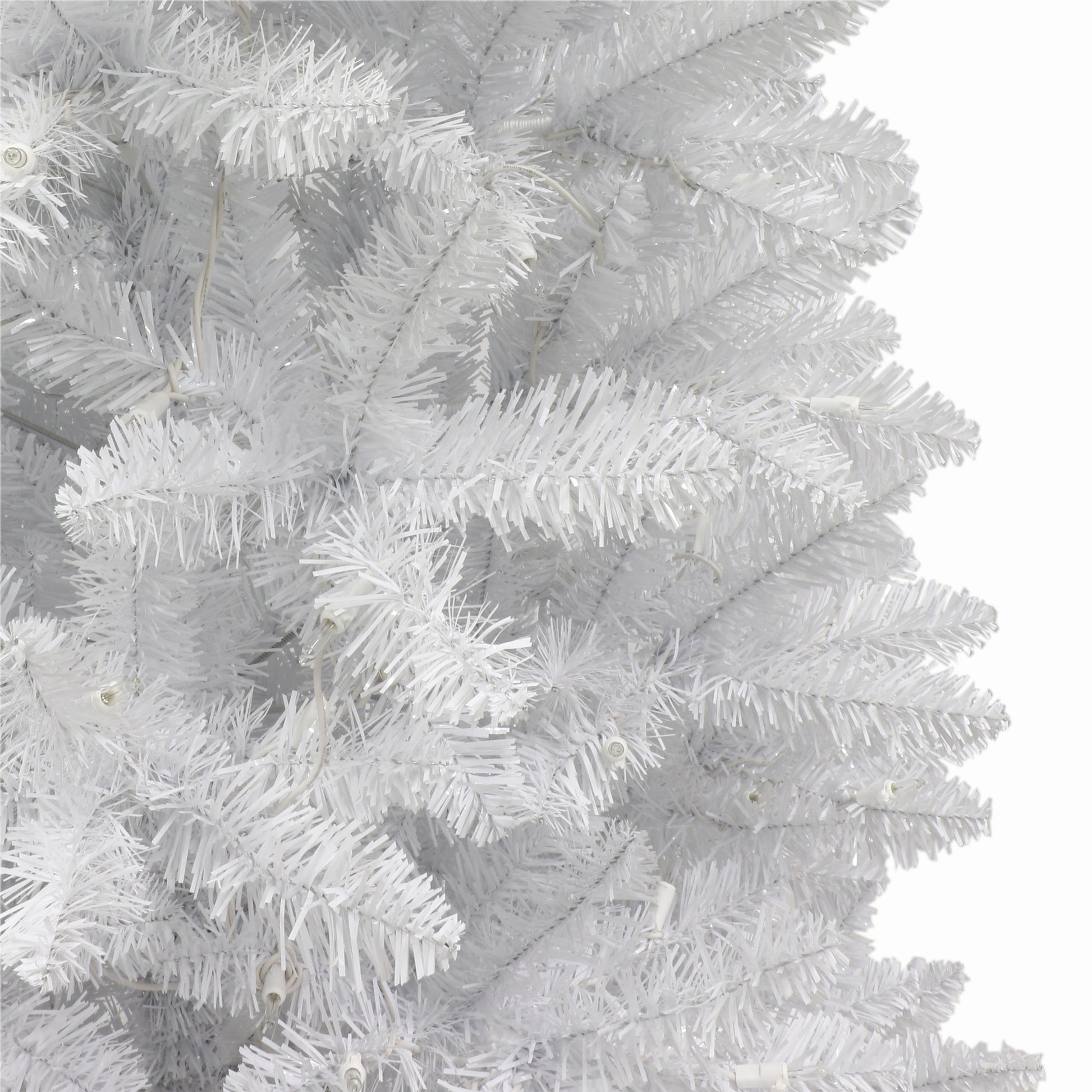 7 / Clear Incandescent