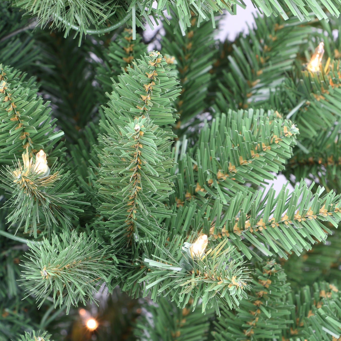 6 / Clear Incandescent