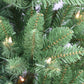 6 / Clear Incandescent
