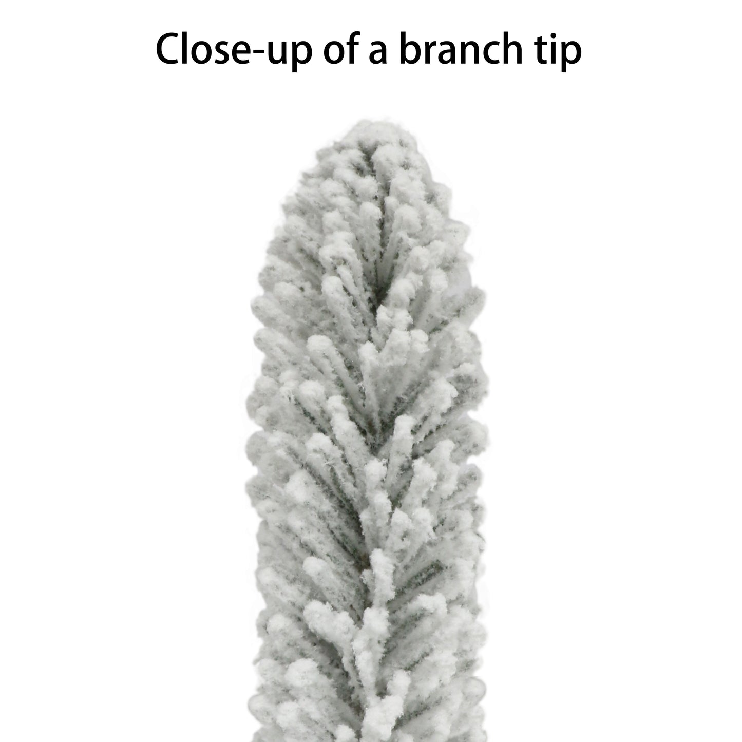 6 / Clear Incandescent