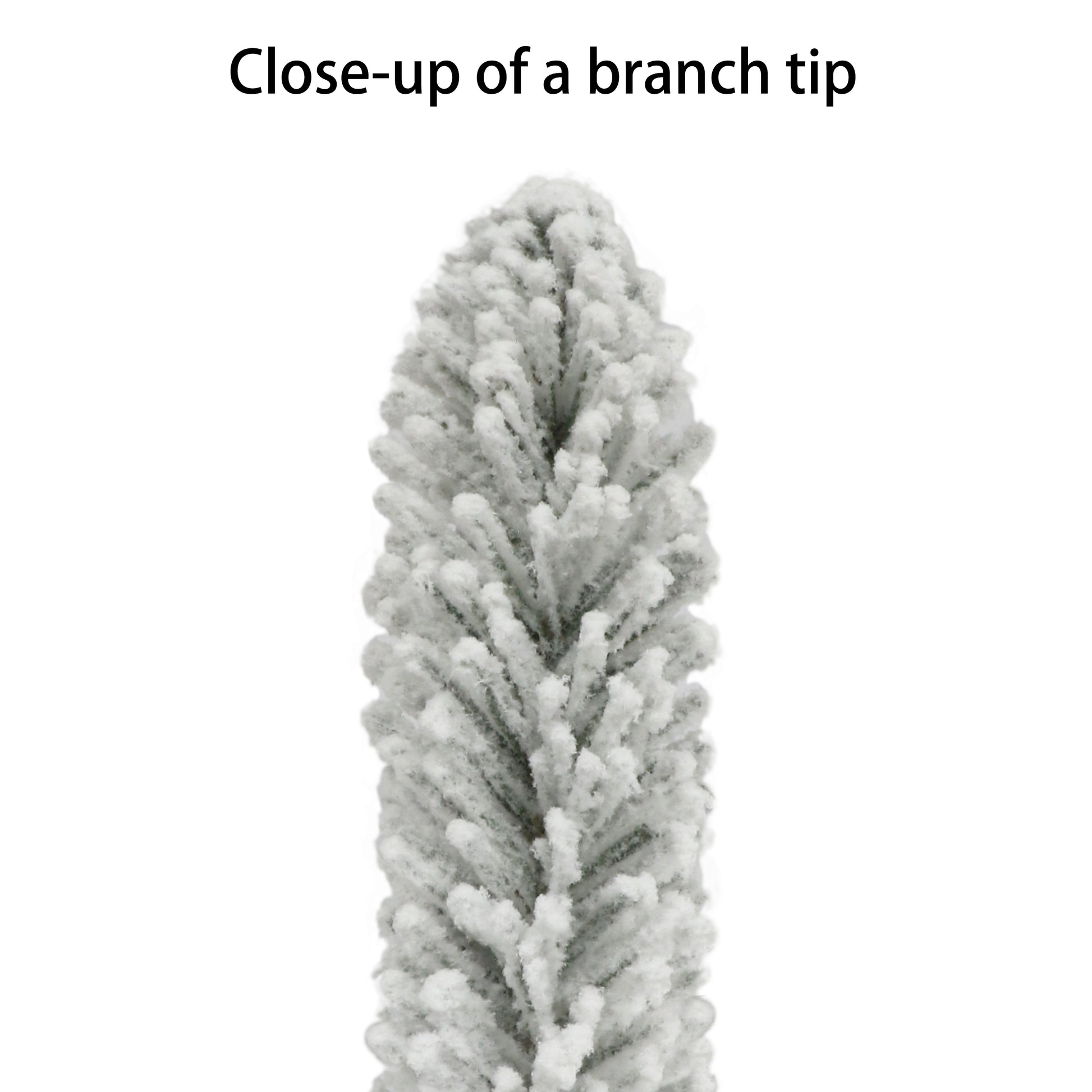 6 / Clear Incandescent