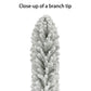 6 / Clear Incandescent