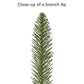 7.5 / Slim / Clear Incandescent
