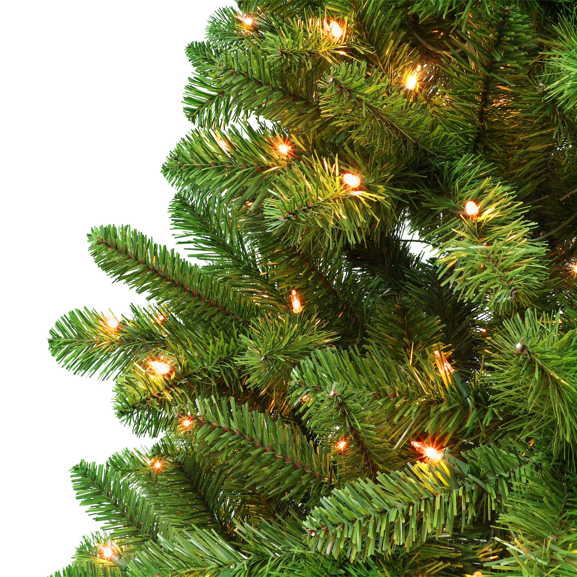 6 / Clear Incandescent