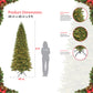 9 / Slim / Clear Incandescent