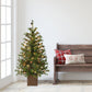 4 ft. Pre-Lit Potted  Artificial Tree