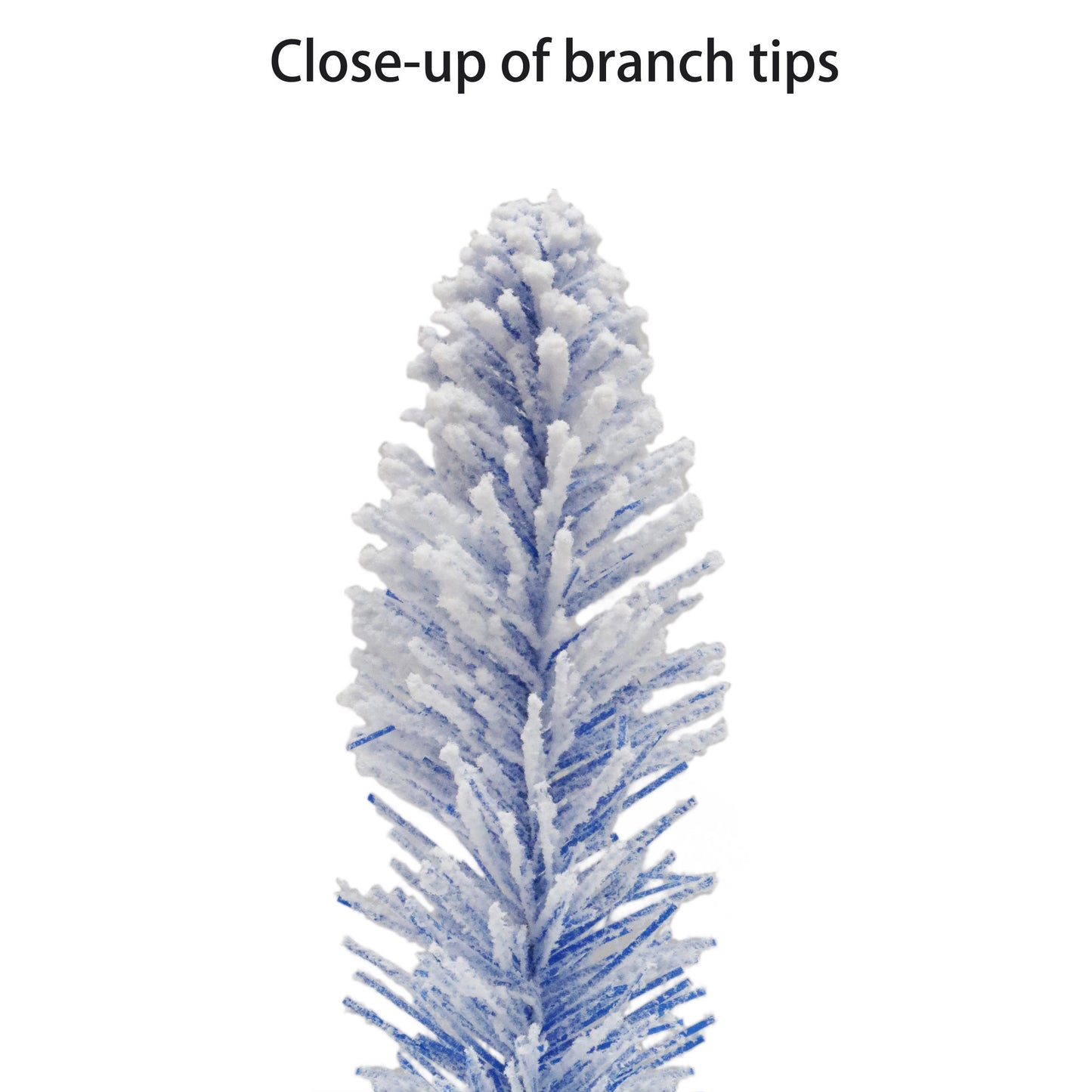 6.5 / Clear Incandescent / Flocked Blue