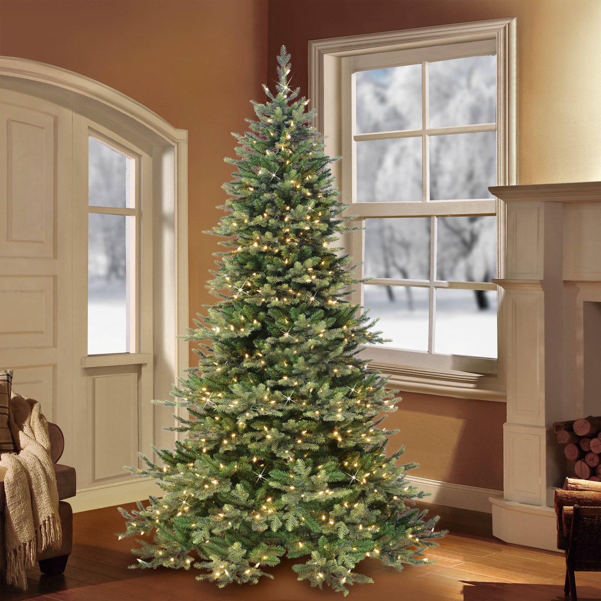 7.5 / Full / Clear Incandescent