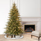 7.5 / Full / Clear Incandescent
