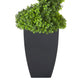 5 ft. Topiary Spiral Boxwood Artificial Tree