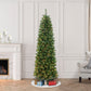 6.5 / Slim / Clear Incandescent