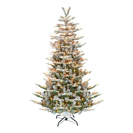 7.5 / Full / Warm White LED