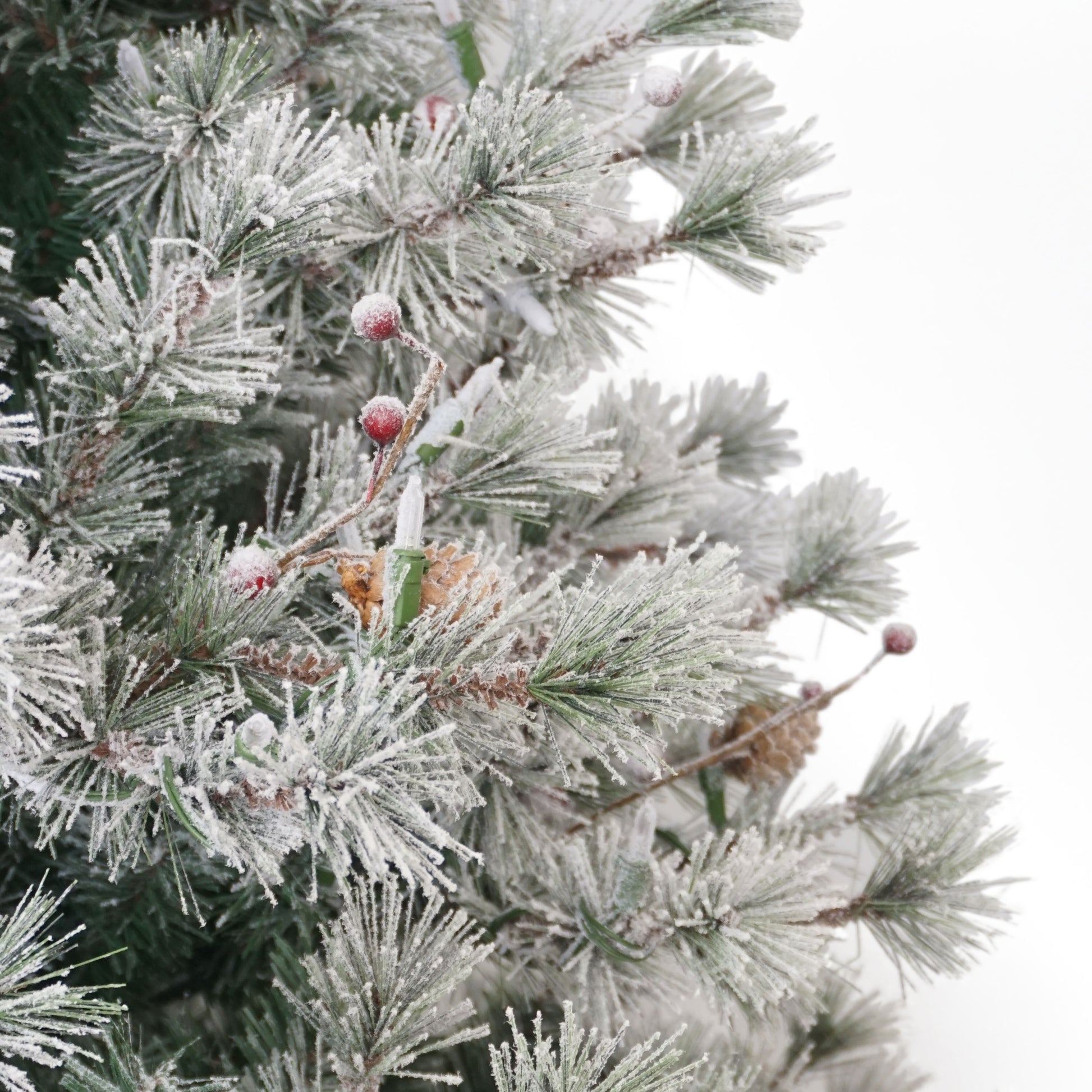 7.5 / Full / Warm White Multi-Function LED