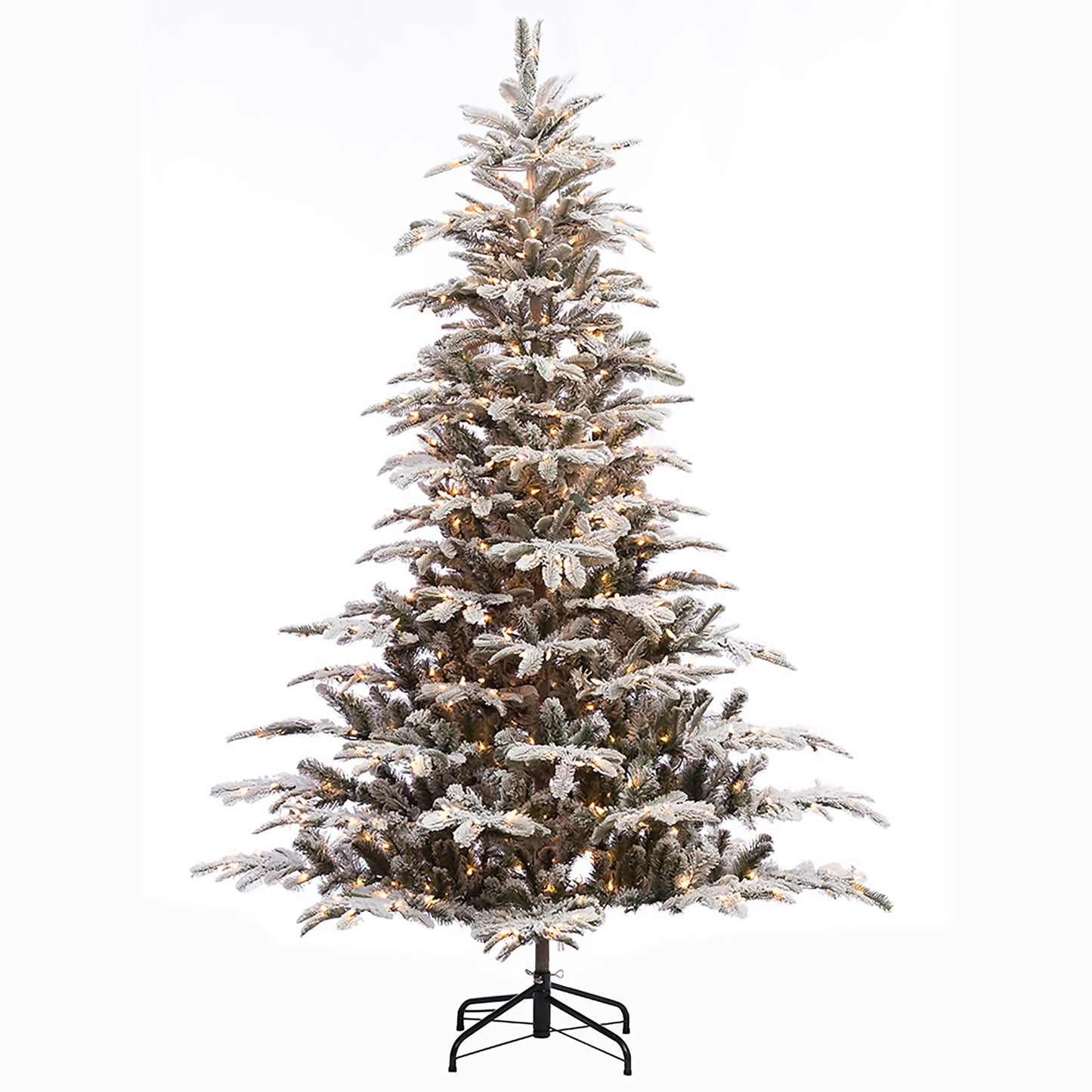 6.5 / Full / Clear Incandescent