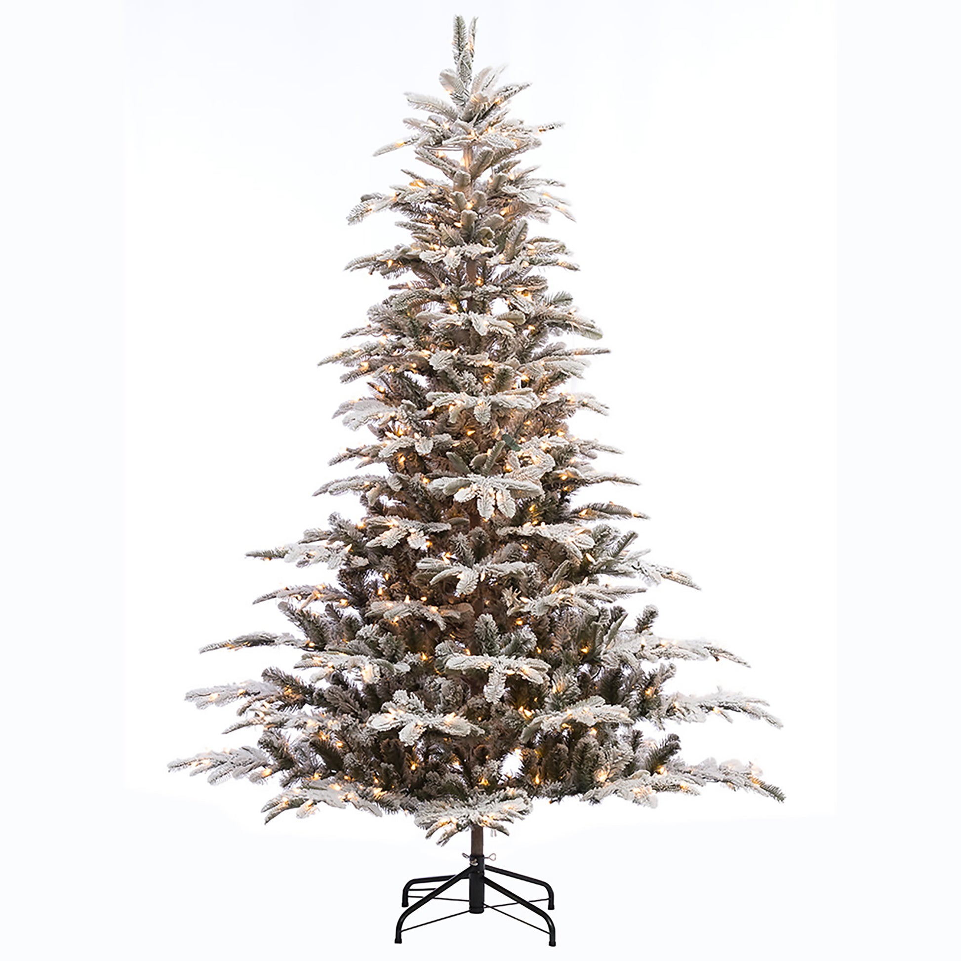 6.5 / Full / Clear Incandescent