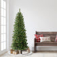 6 / Clear Incandescent