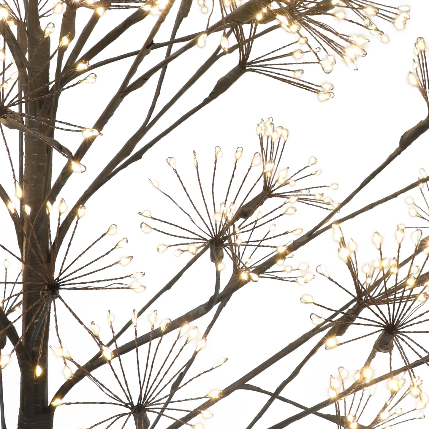 6 / Twig / Warm White LED