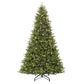 9 / Full / Clear Incandescent