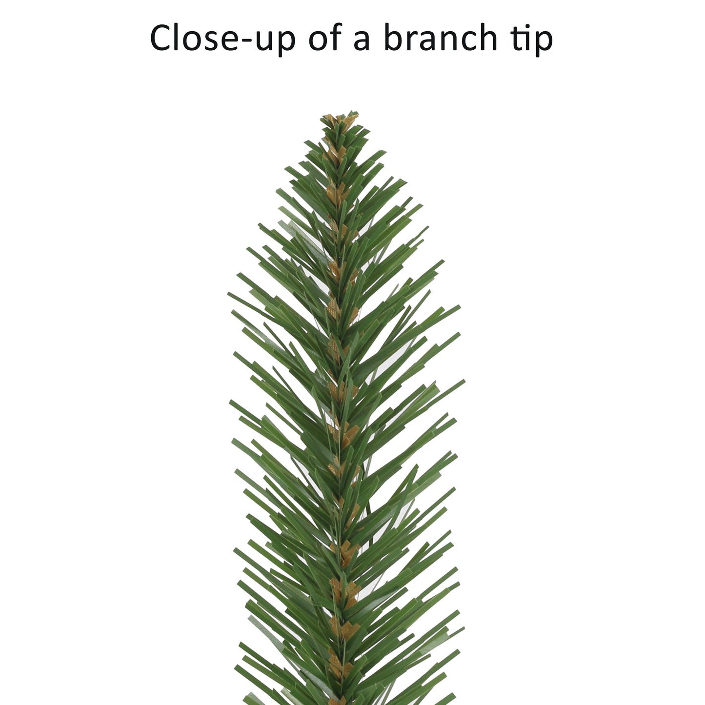 12 / Clear Incandescent