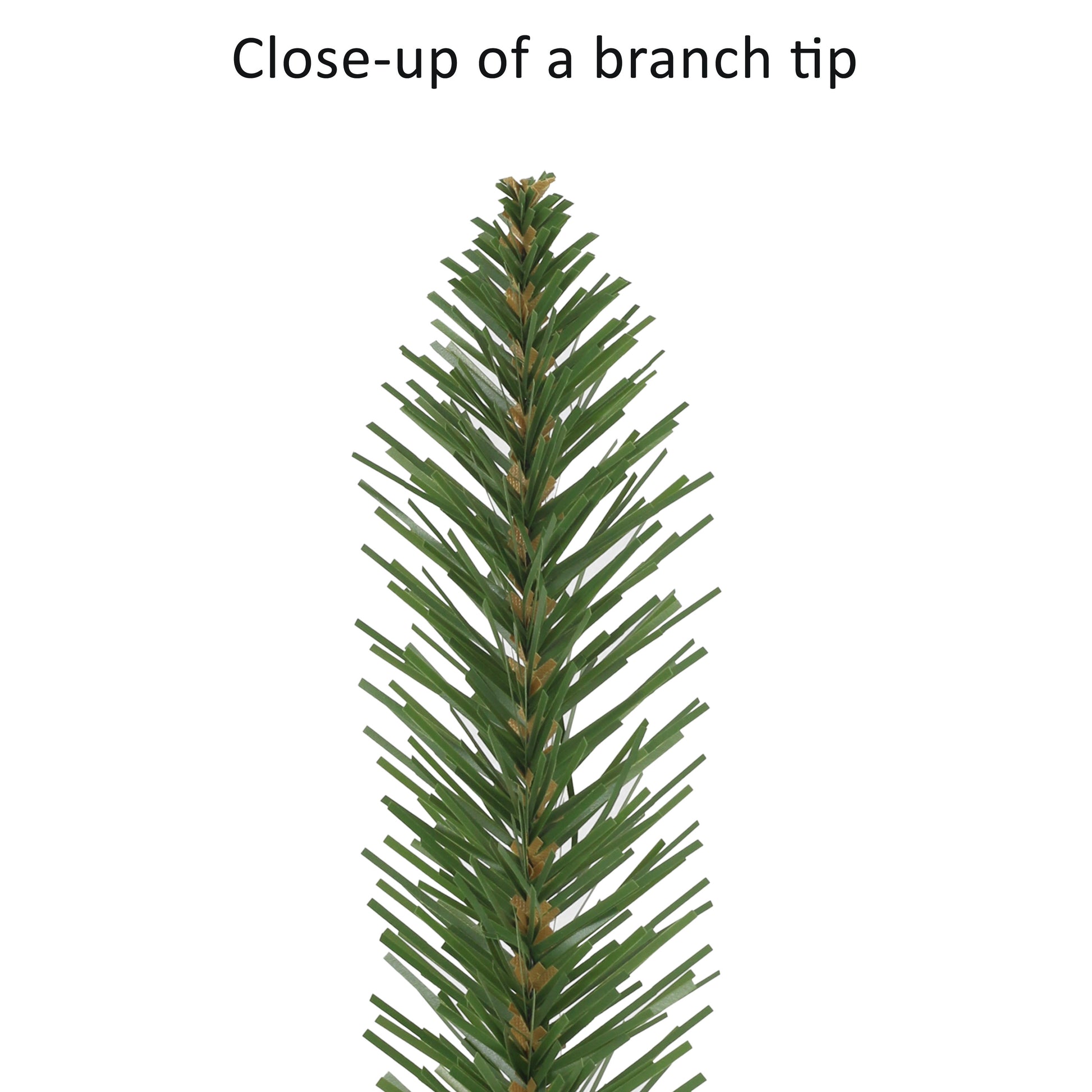 12 / Clear Incandescent