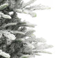 4.5 / Full / Clear Incandescent