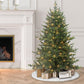 4.5 / Full / Clear Incandescent